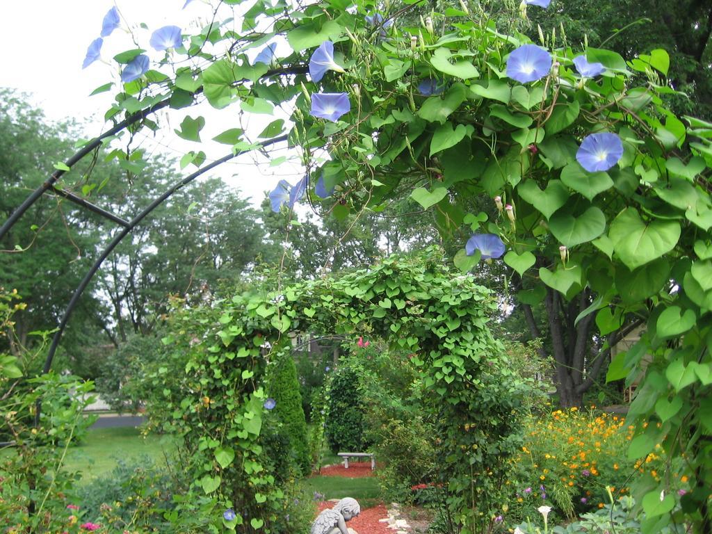 Covington Manor B&B Cambridge Luaran gambar